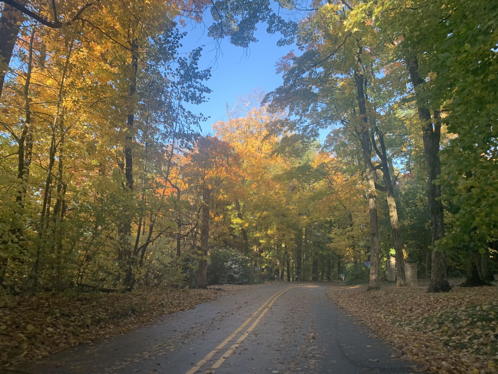 Snake Road fall colors